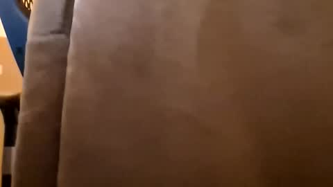 Snapshot of mendosajuan chatting on 6, 1, 2026 DutchFun Cock online show from 6, 1, 2026