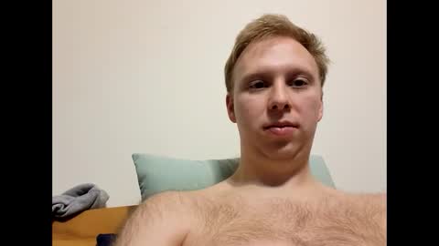 meow732 online show from 19, 11, 2025