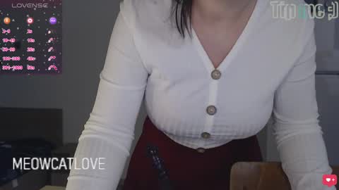 meowcatlove online show from 8, 1, 2025