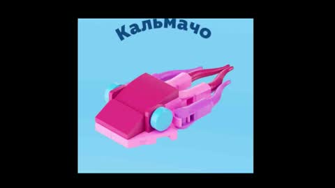 Snapshot of meowcr chatting on 16, 12, 2025 meowcr online show from 16, 12, 2025