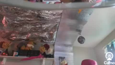 Snapshot of merelyalover chatting on 26, 12, 2024 gurlnips online show from 26, 12, 2024