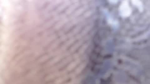 Snapshot of merloth_sub chatting on 19, 12, 2024 Merloth online show from 19, 12, 2024