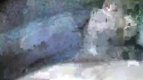 mexianthehawk online show from 28, 9, 2025