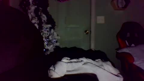 mezzy69 online show from 1, 10, 2025