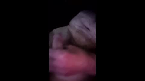 mhidupont online show from 10, 4, 2026