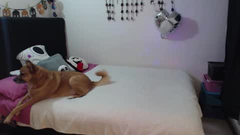 Snapshot of mia_adams_red chatting on 3, 2, 2026 mia online show from 3, 2, 2026