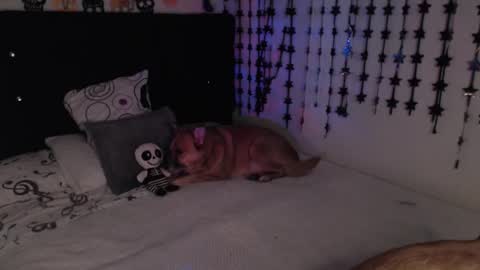 Snapshot of mia_adams_red chatting on 18, 2, 2026 mia online show from 18, 2, 2026