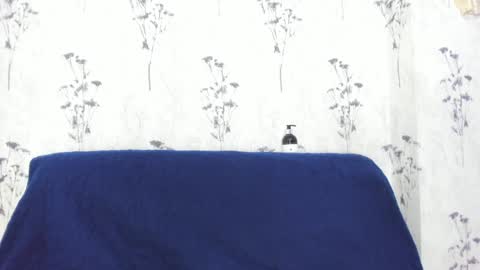 Mia  online show from 31, 12, 2024