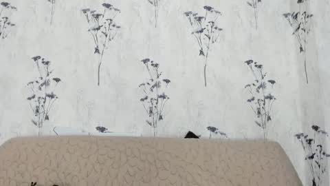 Mia  online show from 10, 1, 2025