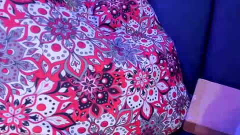 MIA online show from 8, 10, 2025