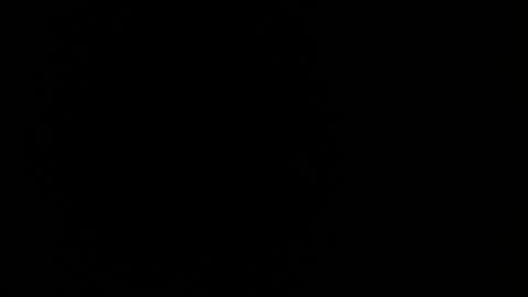 MIA  online show from 13, 2, 2026