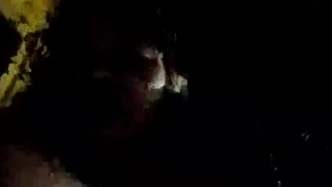 miaguchi online show from 17, 2, 2026