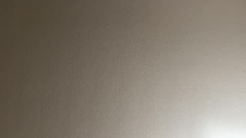 miamifit online show from 26, 3, 2026