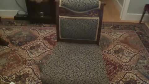 Snapshot of miamiwrestler chatting on 22, 12, 2025 miamiwrestler online show from 22, 12, 2025