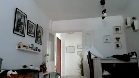 Snapshot of mich6921 chatting on 14, 7, 2026 MILO MIAMI online show from 14, 7, 2026