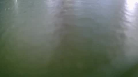 michelclaude online show from 15, 10, 2025