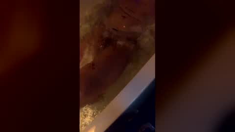 michelsexy69603790 online show from 12, 4, 2026