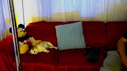 Snapshot of mickeyshyne69 chatting on 28, 2, 2025 Mickey online show from 28, 2, 2025