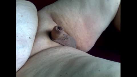 micropimmel online show from 11, 10, 2025