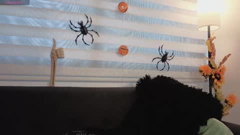 Snapshot of midori__san chatting on 4, 11, 2025 midori__san online show from 4, 11, 2025