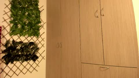 Snapshot of miiaah_thompsom chatting on 27, 5, 2026 miaah muoz online show from 27, 5, 2026