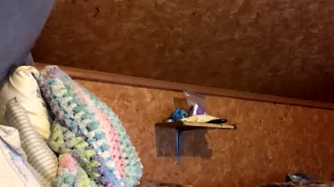 mikeblair5081 online show from 18, 12, 2025