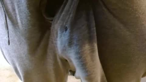 mikehey1 online show from 27, 11, 2025