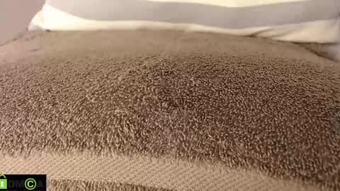 Mikell Williams online show from 11, 3, 2025