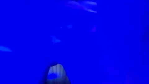 Snapshot of mikie19891 chatting on 16, 11, 2025 mikie19891 online show from 16, 11, 2025