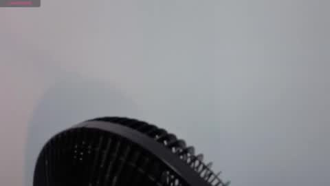 DANIELA online show from 21, 12, 2025