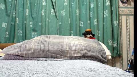 milfy72 online show from 30, 1, 2025