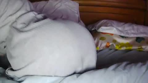 MilfyTitts online show from 16, 10, 2025