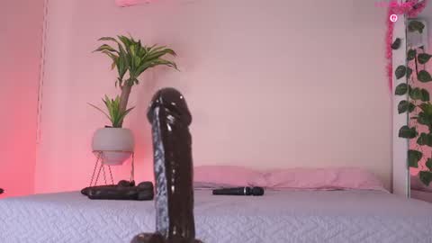    online show from 24, 6, 2026