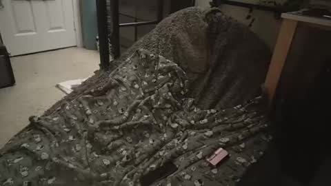 milky479 online show from 9, 3, 2026