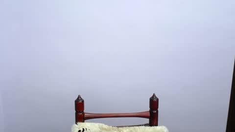 MINATO online show from 19, 12, 2024