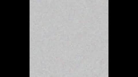 miniorganismo online show from 14, 12, 2025