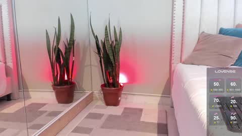    online show from 14, 1, 2025