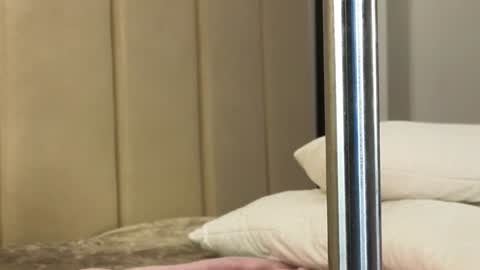 Snapshot of misatosan_ chatting on 11, 1, 2025 Annie dont forget to thumbs up me online show from 11, 1, 2025