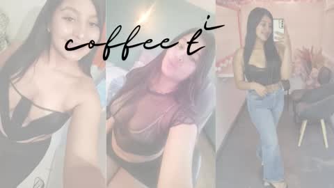 Cataleya online show from 19, 11, 2025