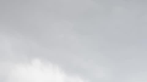 miss_divora online show from 5, 2, 2026