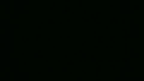 Elis online show from 13, 11, 2025