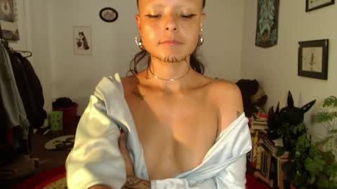 Anarkitten  online show from 11, 2, 2025