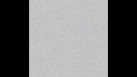 D A N A online show from 11, 9, 2025