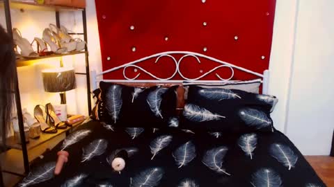 missdominantbigcockx online show from 24, 6, 2026