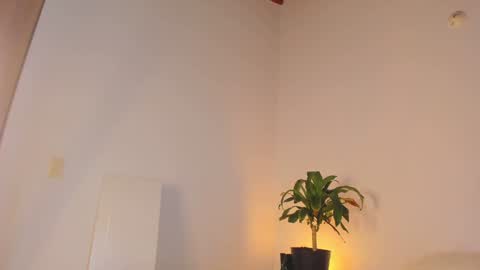 misspaulag online show from 31, 1, 2025