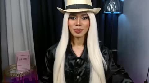 Stella online show from 6, 10, 2025