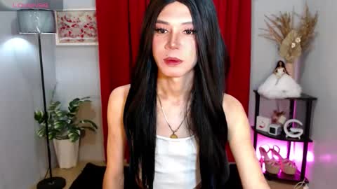 Stella online show from 21, 11, 2025