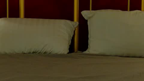 Missy online show from 4, 10, 2025