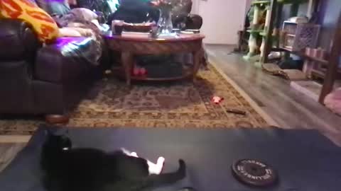 Jaxie online show from 2, 2, 2026