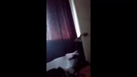 mistersins69 online show from 3, 2, 2026